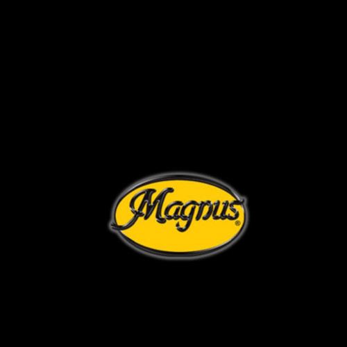 Magnus Inc